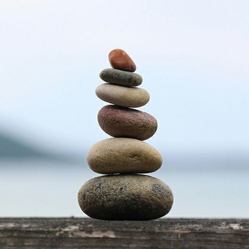  즐거운 나의 수행