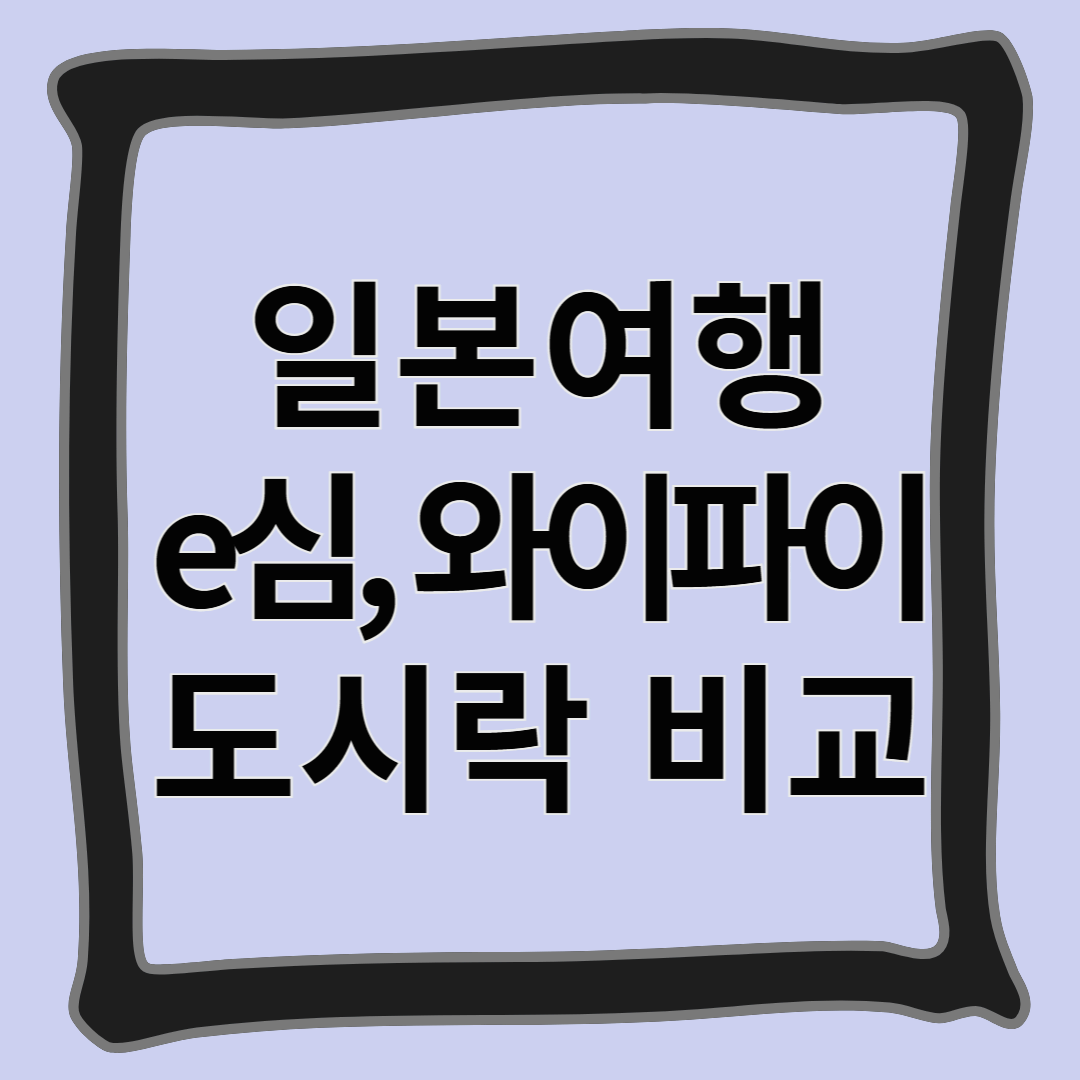 일본여행 e심, 와이파이 도시락 비교