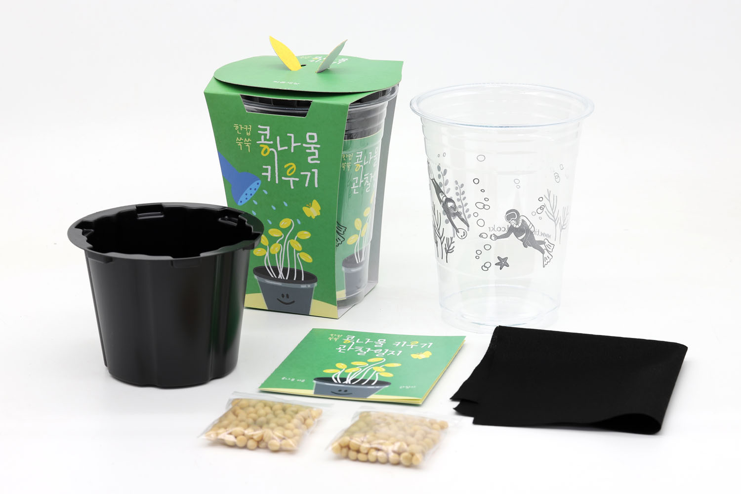 나만의 반려 콩나물 키우기