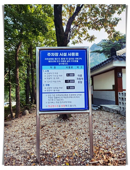 주차안내