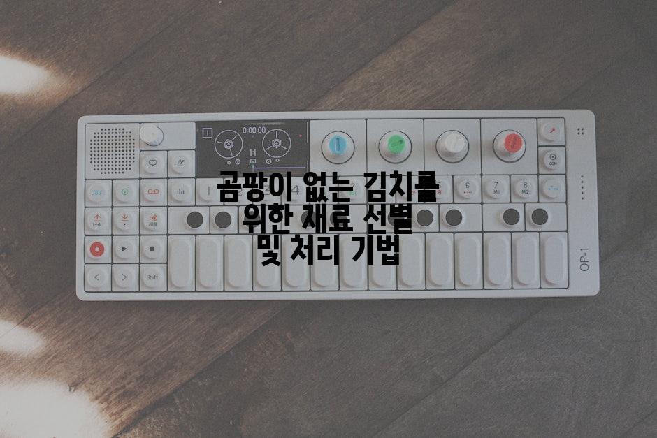 곰팡이 없는 김치를 위한 재료 선별 및 처리 기법