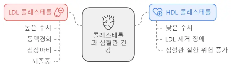 콜레스테롤 문제