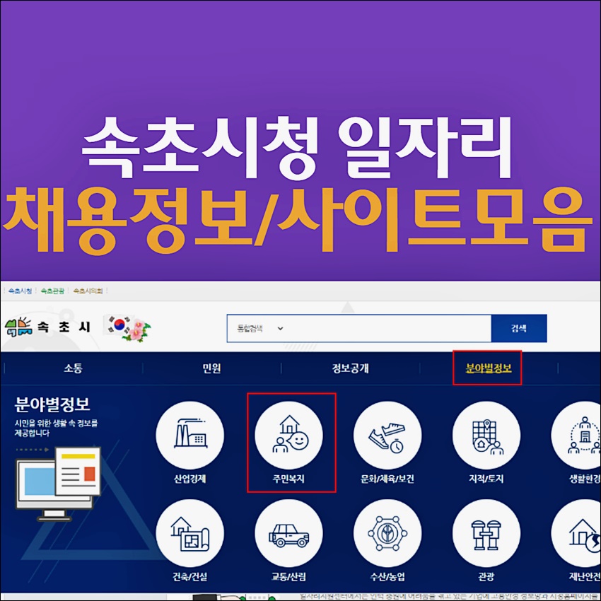 속초시청 구인구직 일자리 정보