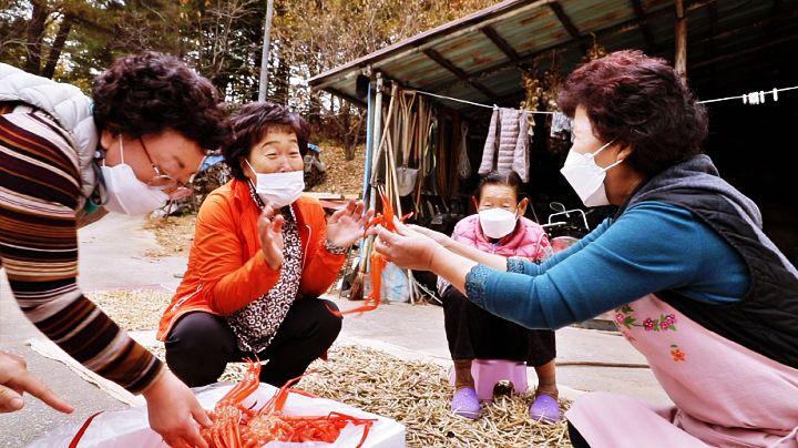  한국인의 밥상 강릉 주문진 복숭아 병조림 효소 판매하는 곳 연락처 위치 온라인 장터 택배 구매 숙박 예약하는 방법