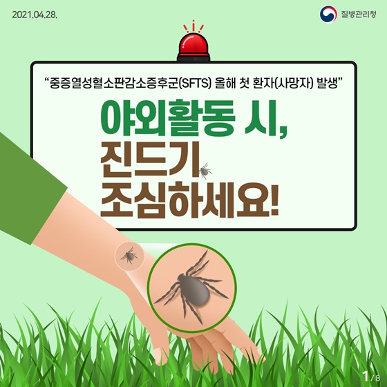  이거 혹시 진드기 아니야!?