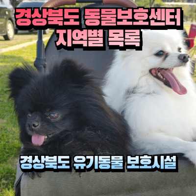 경상북도 동물보호센터 섬네일