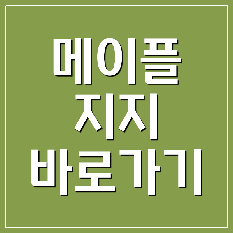  메이플지지 바로가기