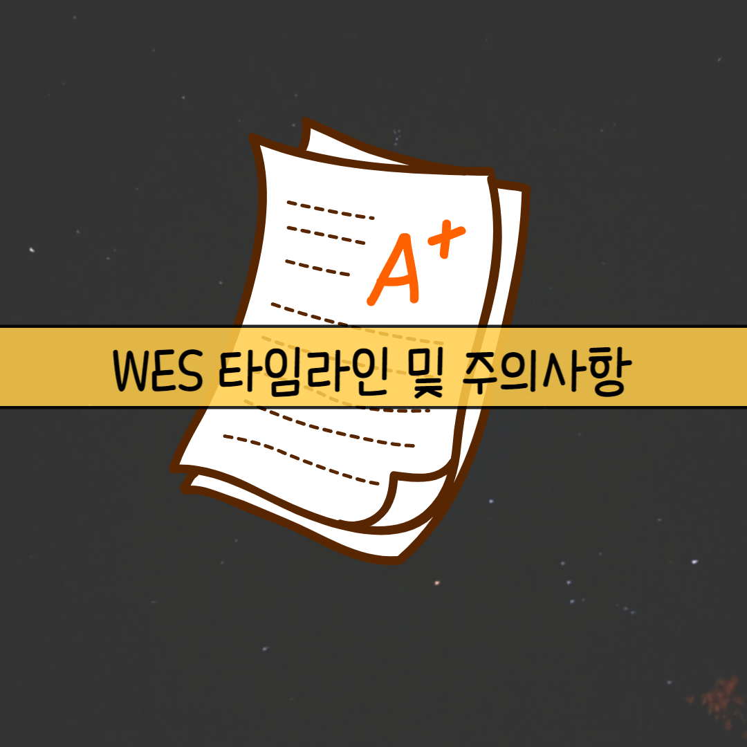 WES타임라인