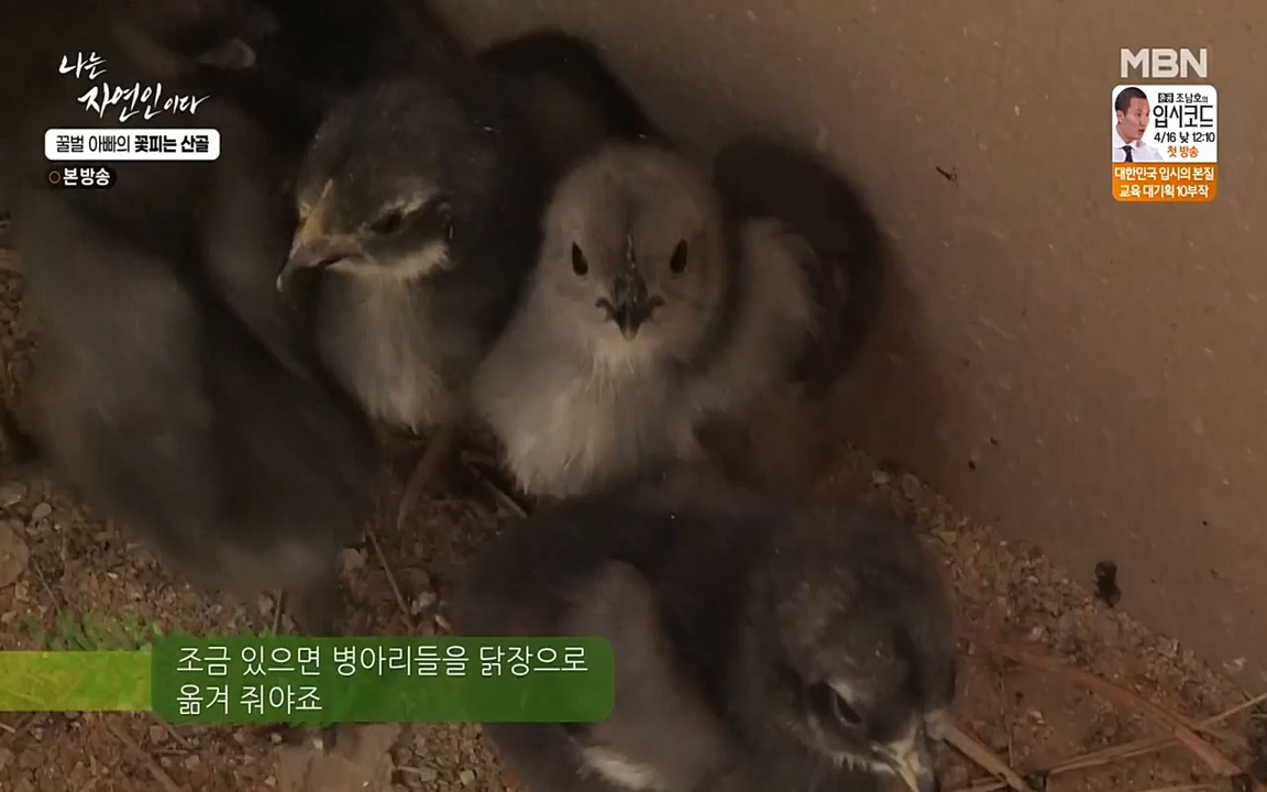 나는 자연인이다.E497.220414p-NEXT.mp4_20220414_182320.644.jpg