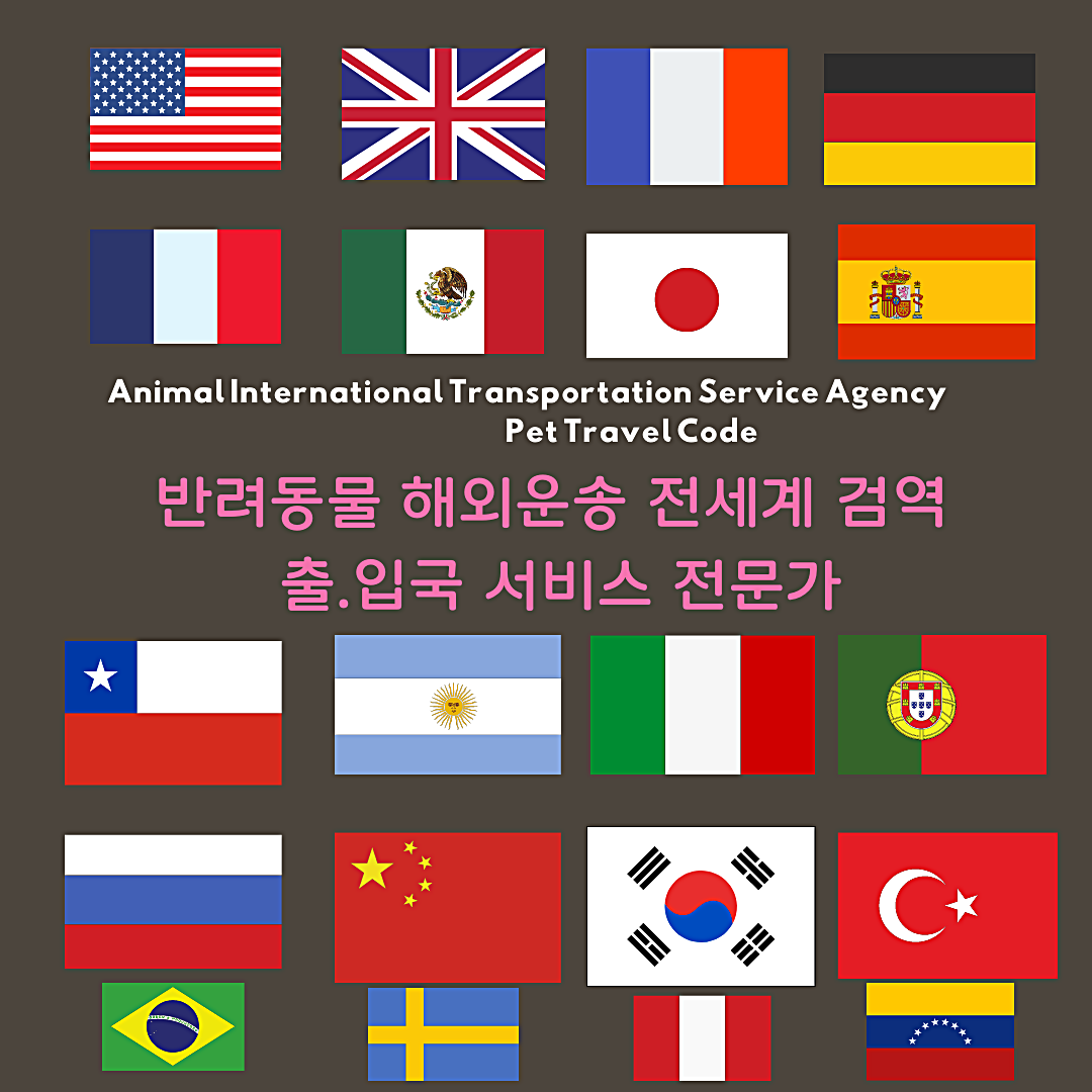  강아지필리핀운송 고양이필리핀운송 강아지필리핀입국허가 고양이필리핀입국허가 어려워진 반려동물입국허가 서비스