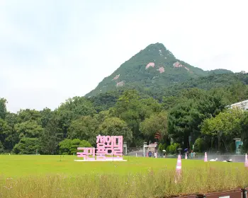 청와대 관람 신청_8
