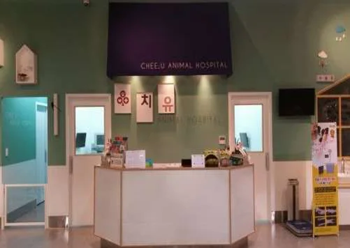 치유동물병원