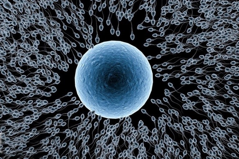  번식경쟁,난자의선택;암컷의선택,번식,번식경쟁,암컷의역할,세포경쟁,난자,정자,수태,수정,착상,성적고정관념,자연의섭리.