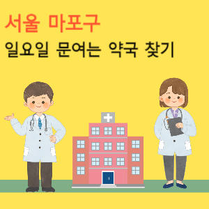 서울 마포구 일요일 문여는 약국