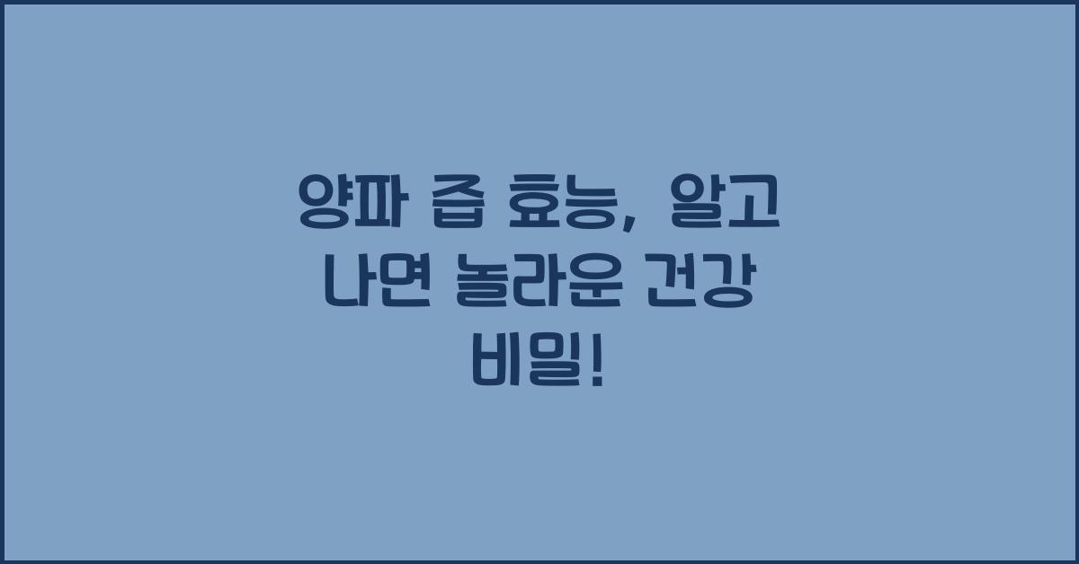 양파 즙 효능