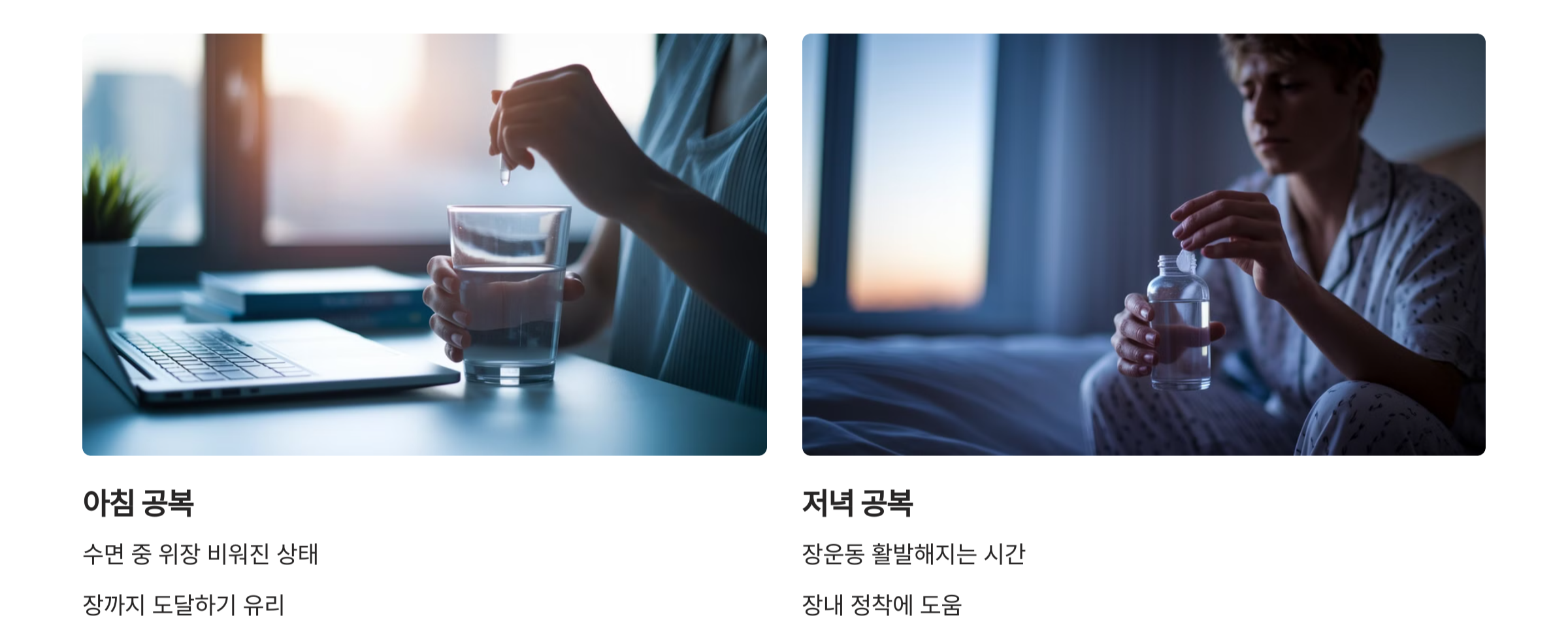 아침 VS 저녁, 언제 먹을까?