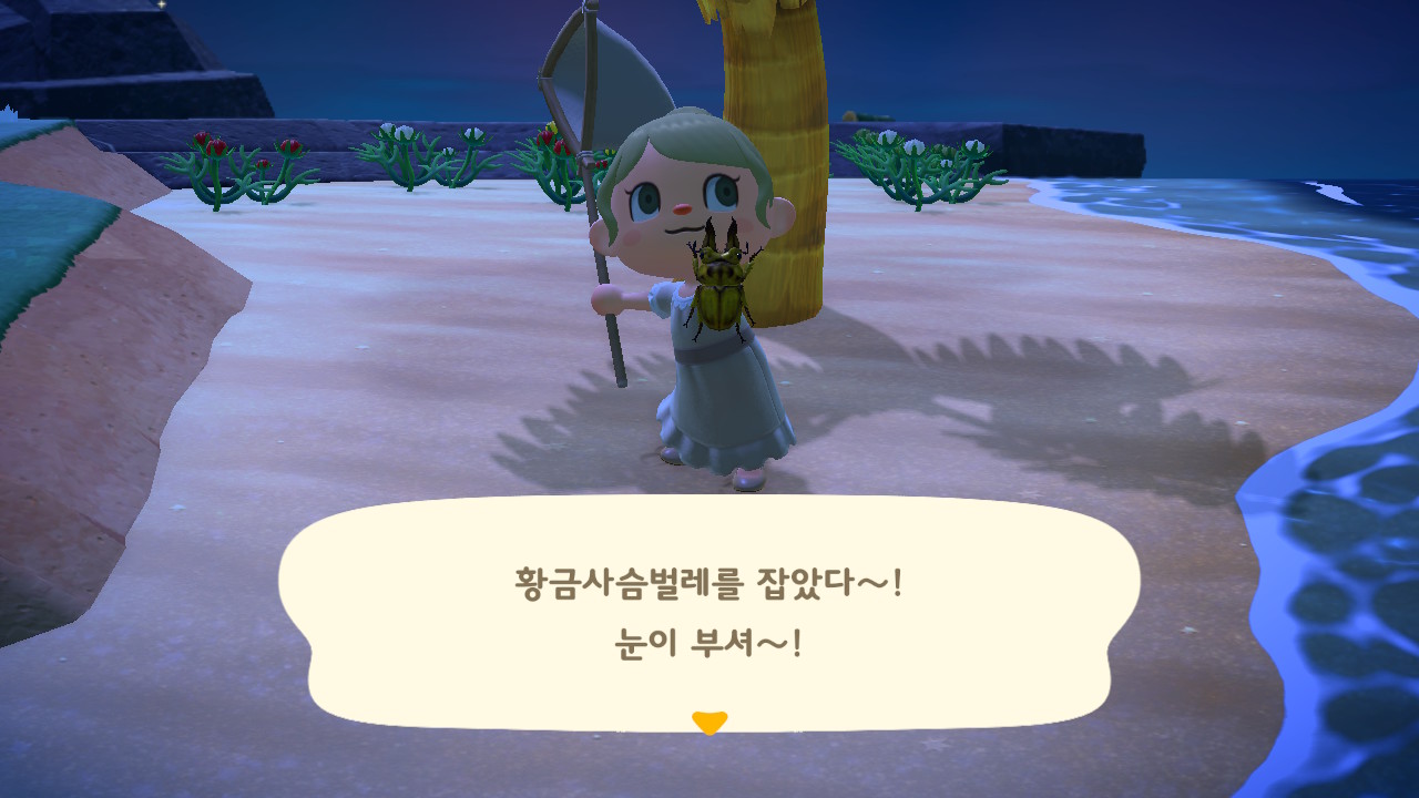모동숲] 모여봐요 동물의숲 일기 24 - 도감을 채워보자!