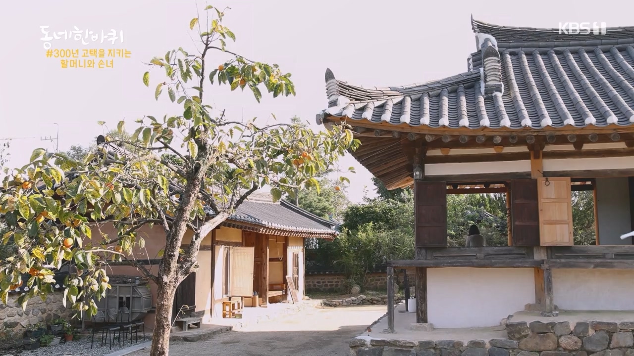 동네 한 바퀴.E242.230931p-NEXT.mp4_20231002_161450.624.jpg