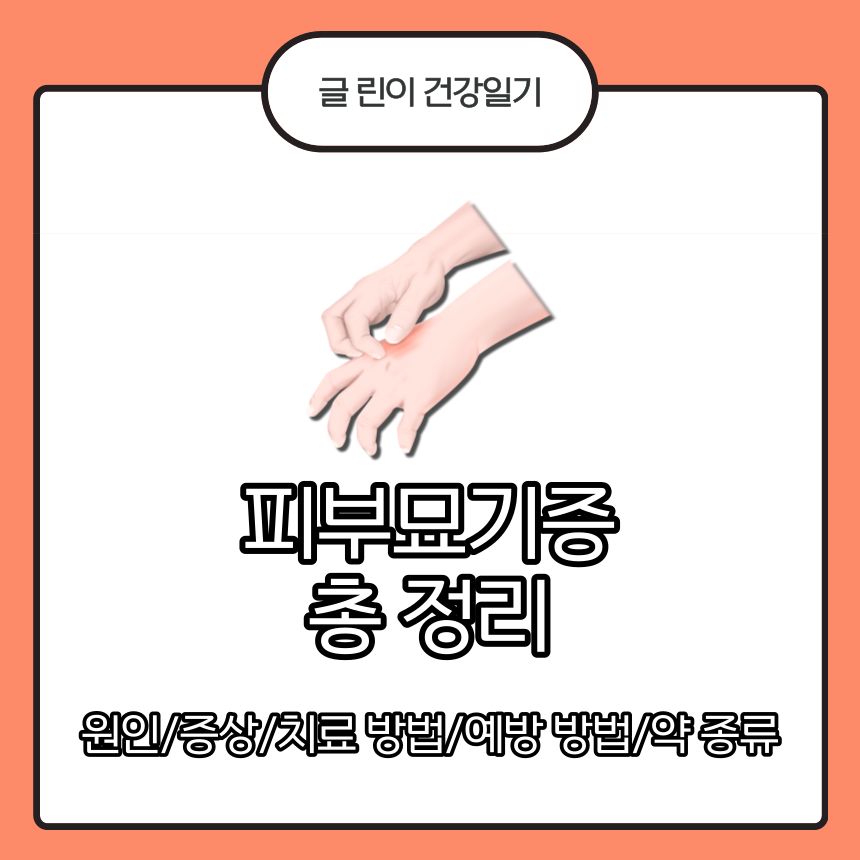  피부 묘기증 총 정리