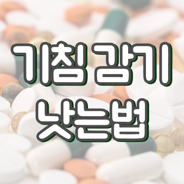 기침 감기