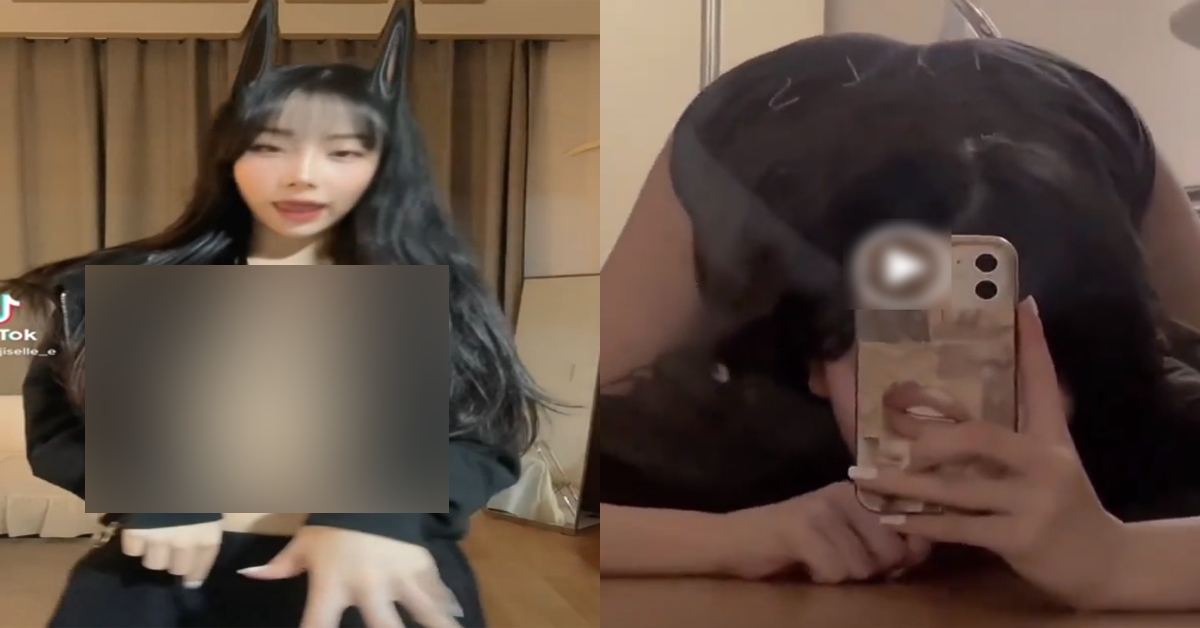 고양이가 진리인 이유mp4