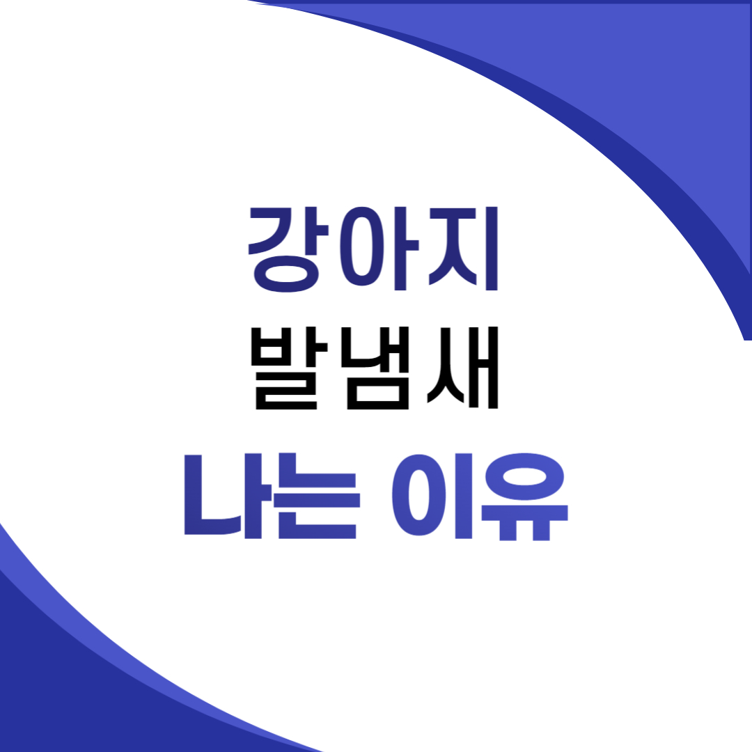 강아지발냄새 나는 이유