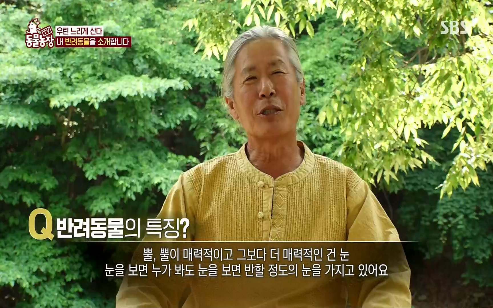TV 동물농장.E1074.220619p.H264-F1RST.mp4_20220619_180833.270.jpg