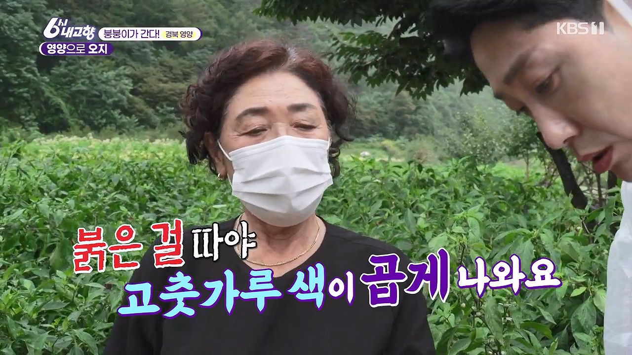 6시 내고향.E7878.230912p-NEXT.mp4_20230918_203959.100.jpg