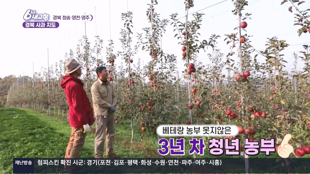 6시 내고향.E7907.231108p.H264-F1RST.mp4_20231108_204432.958.jpg