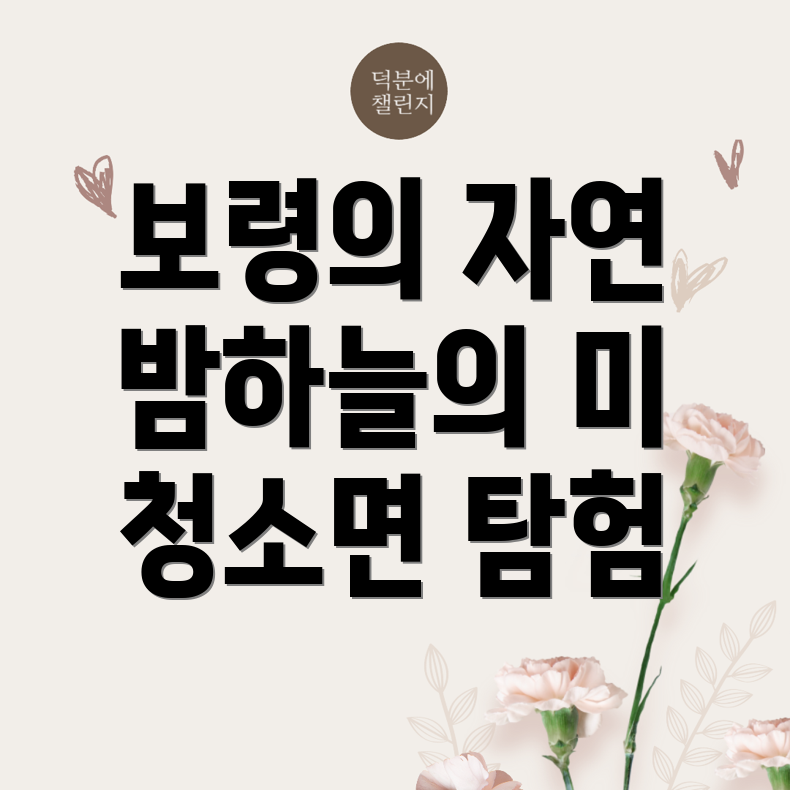 보령시 청소면 명소