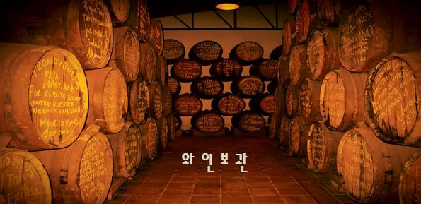  와인 보관 방법