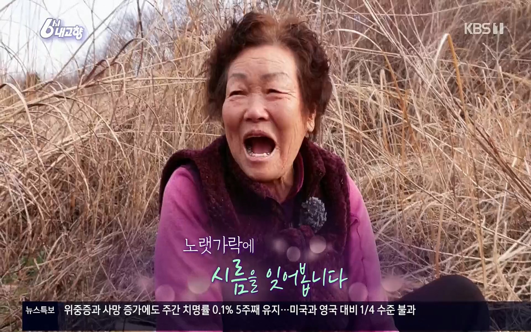 6시 내고향.E7496.220324p.H264-F1RST.mp4_20220328_181630.792.jpg