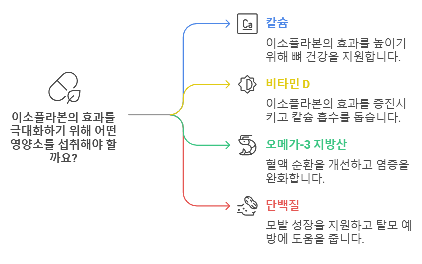 이소플라본과 함께 섭취하면 좋은 영양소