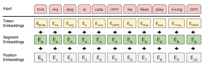 BERT Input Representation