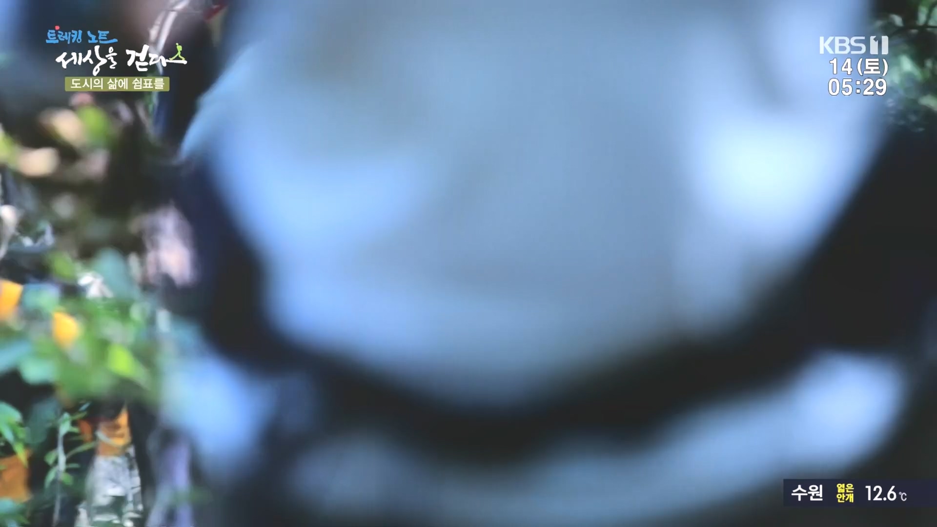 트레킹노트 세상을 걷다.E290.231014p.H264-F1RST.mp4_20231014_181402.308.jpg