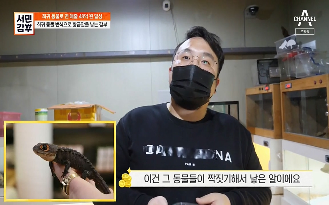 서민 갑부.E381.220431p-NEXT.mp4_20220501_180348.977.jpg