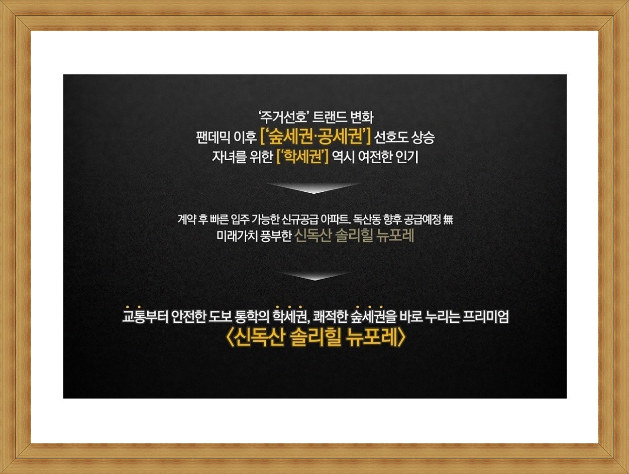 솔리 이미지