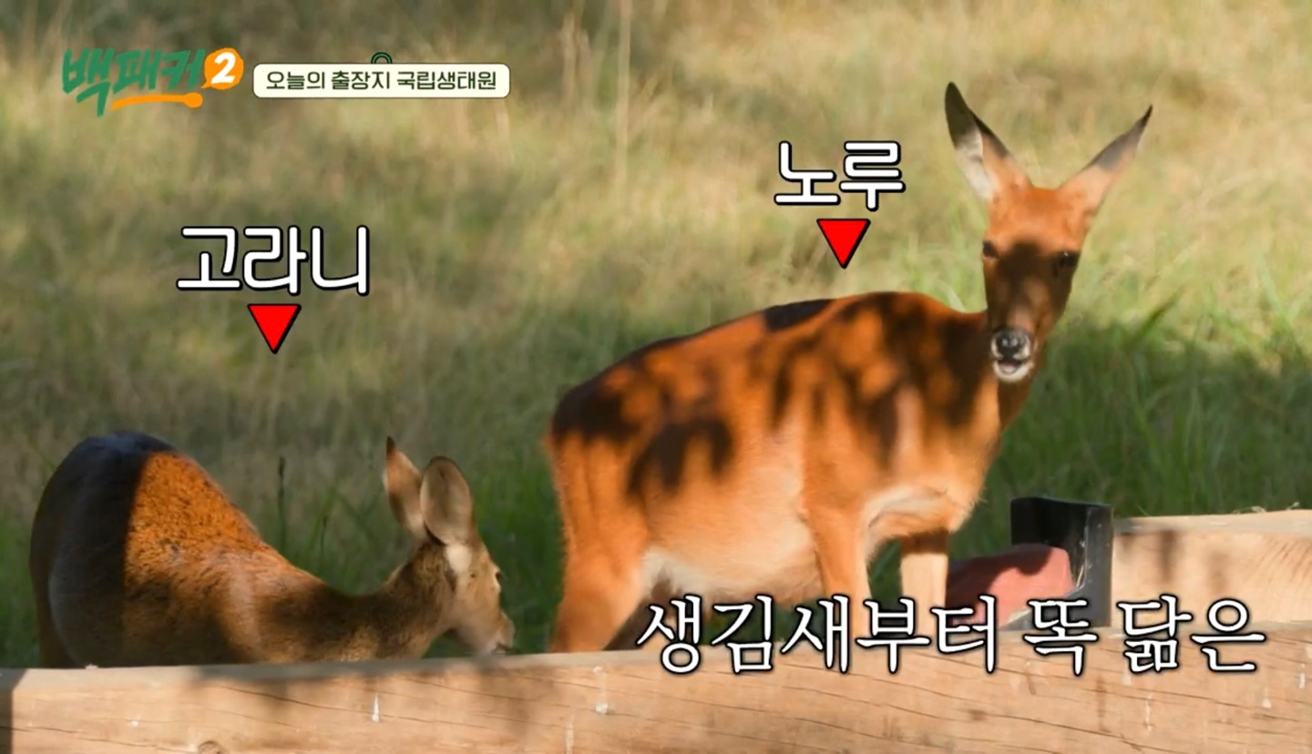 백패커2 X 국립생태원 입장료&amp;#44;시간&amp;#44;위치 정보