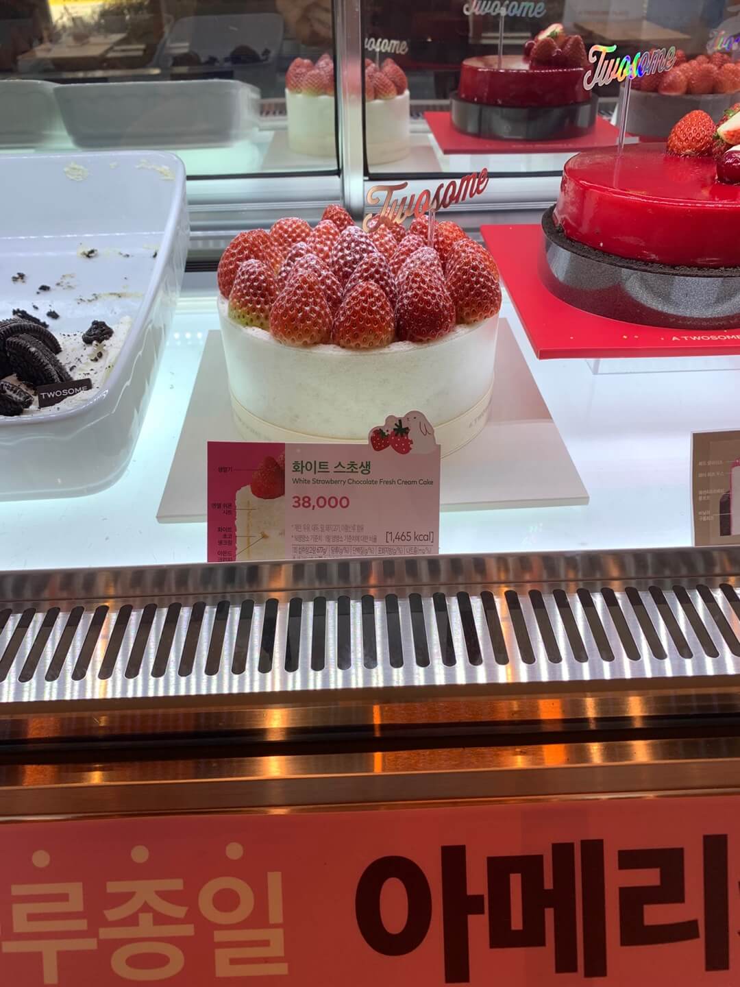 화이트-스초생