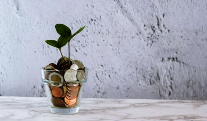 유리컵속-동전과-식물-사진