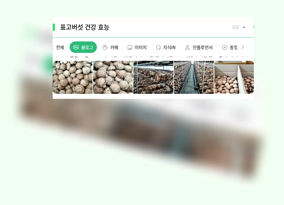 표고버섯 건강 효능_1_subsection