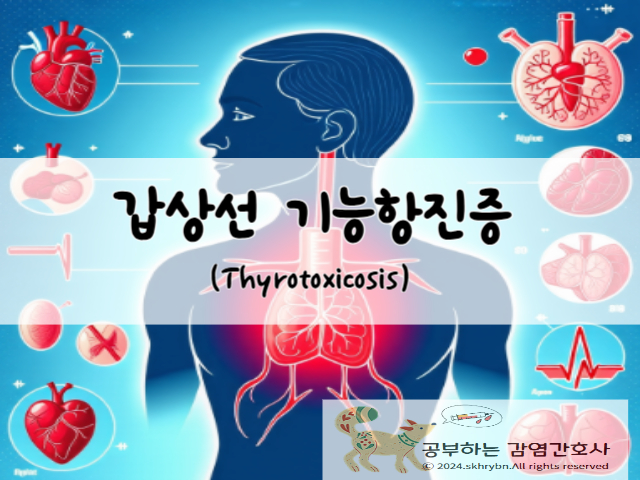 갑상선기능항진증 (Thyrotoxicosis)의 원인 및 증상, 진단 및 치료법