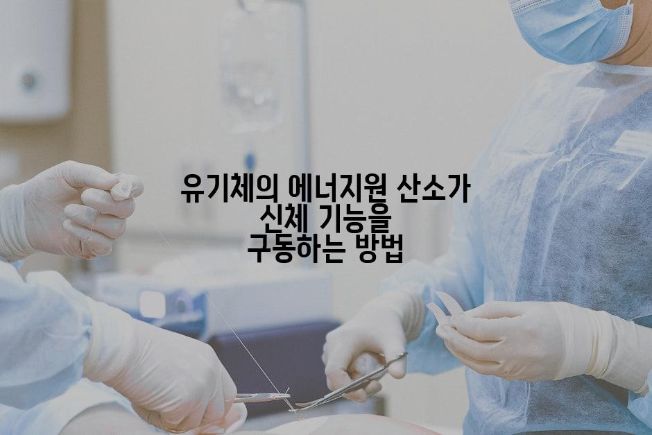 유기체의 에너지원 산소가 신체 기능을 구동하는 방법