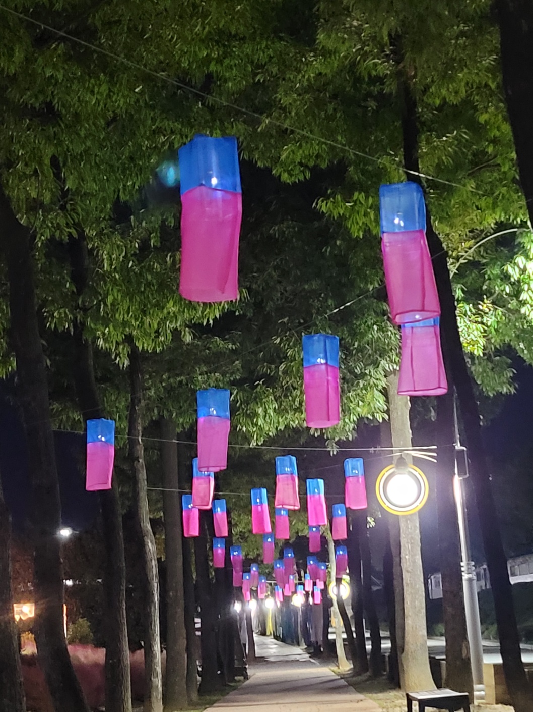 청사초롱 이미지