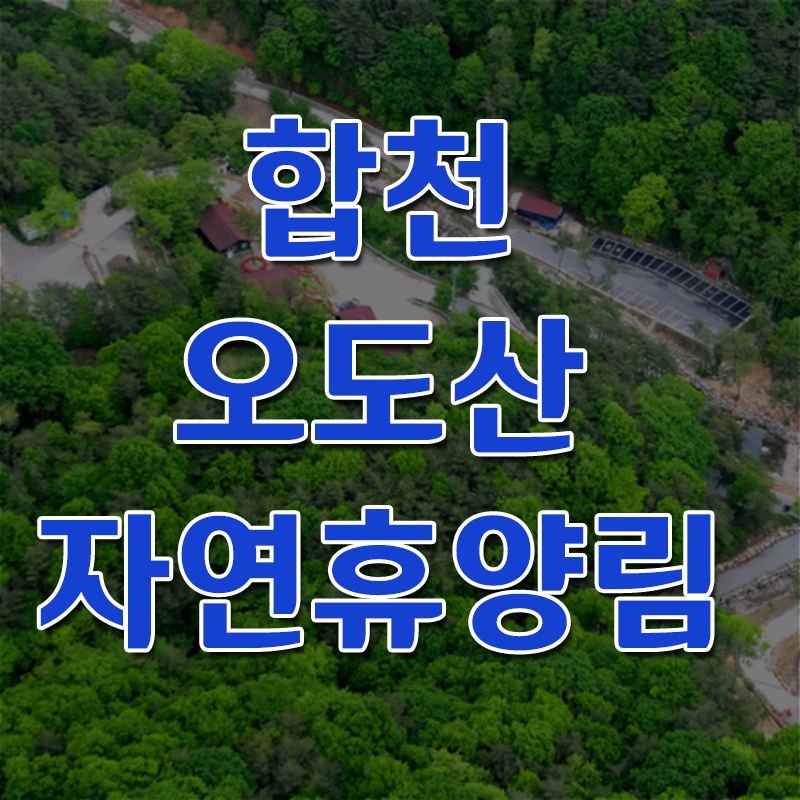  합천 오도산 자연휴양림