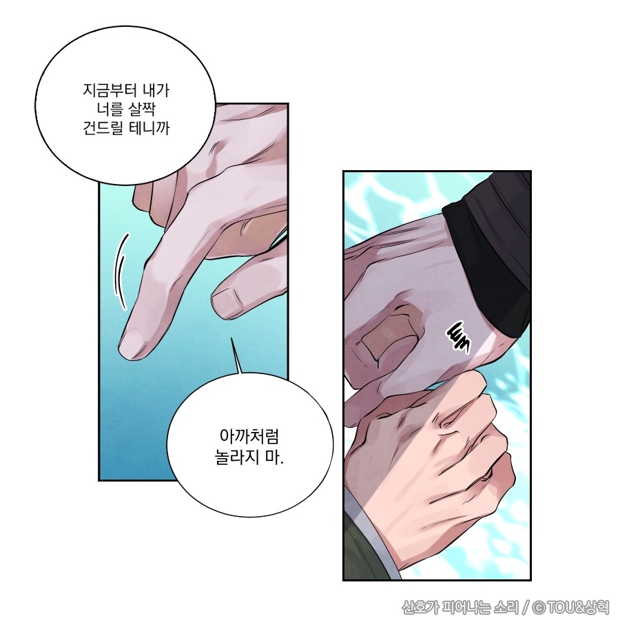  BL웹툰 '산호가 피어나는 소리' 무료보기