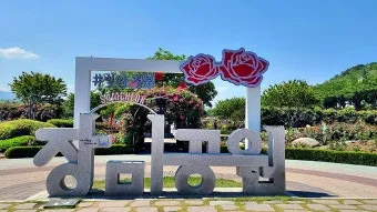 2025 삼척 장미공원 장미축제 일정 주차 볼거리_11
