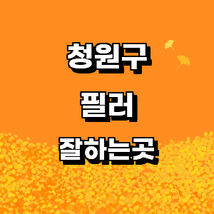 청주 청원구 필러