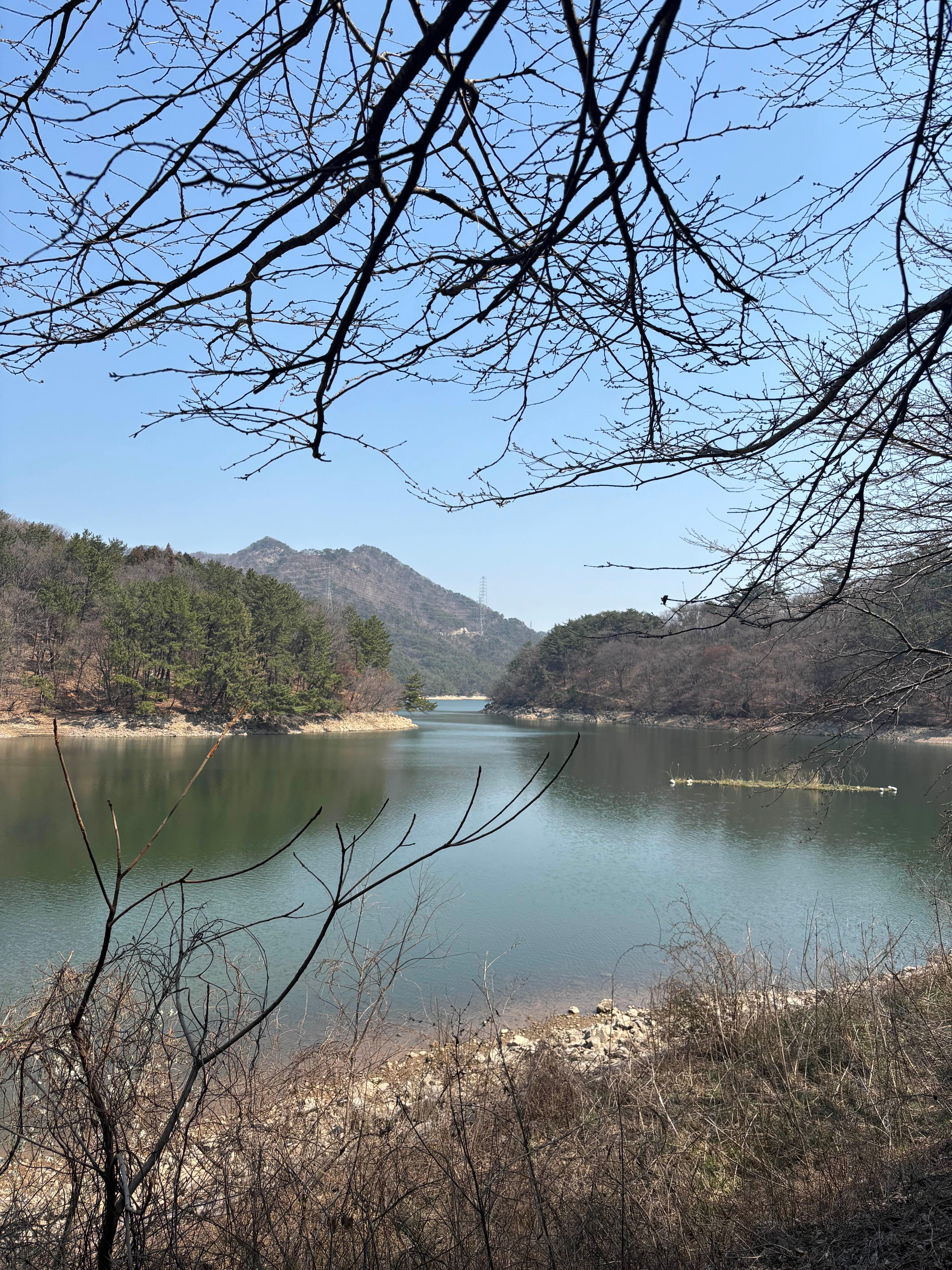 삼삼오리촌 사진 3