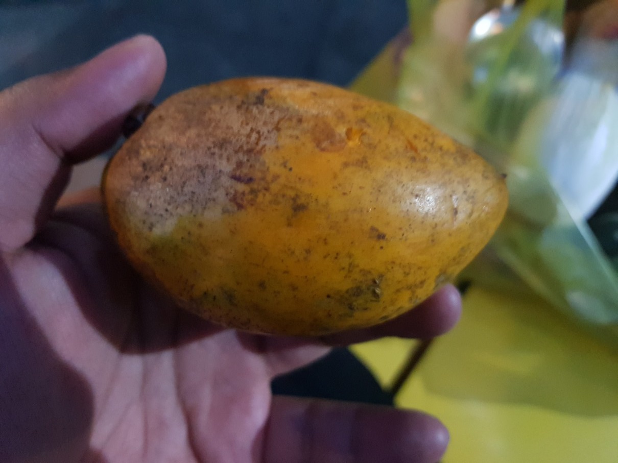호치민 빈탄군 로컬 과일 & 채소 가게 Cho Que - Eggfruit(Trung ga)
